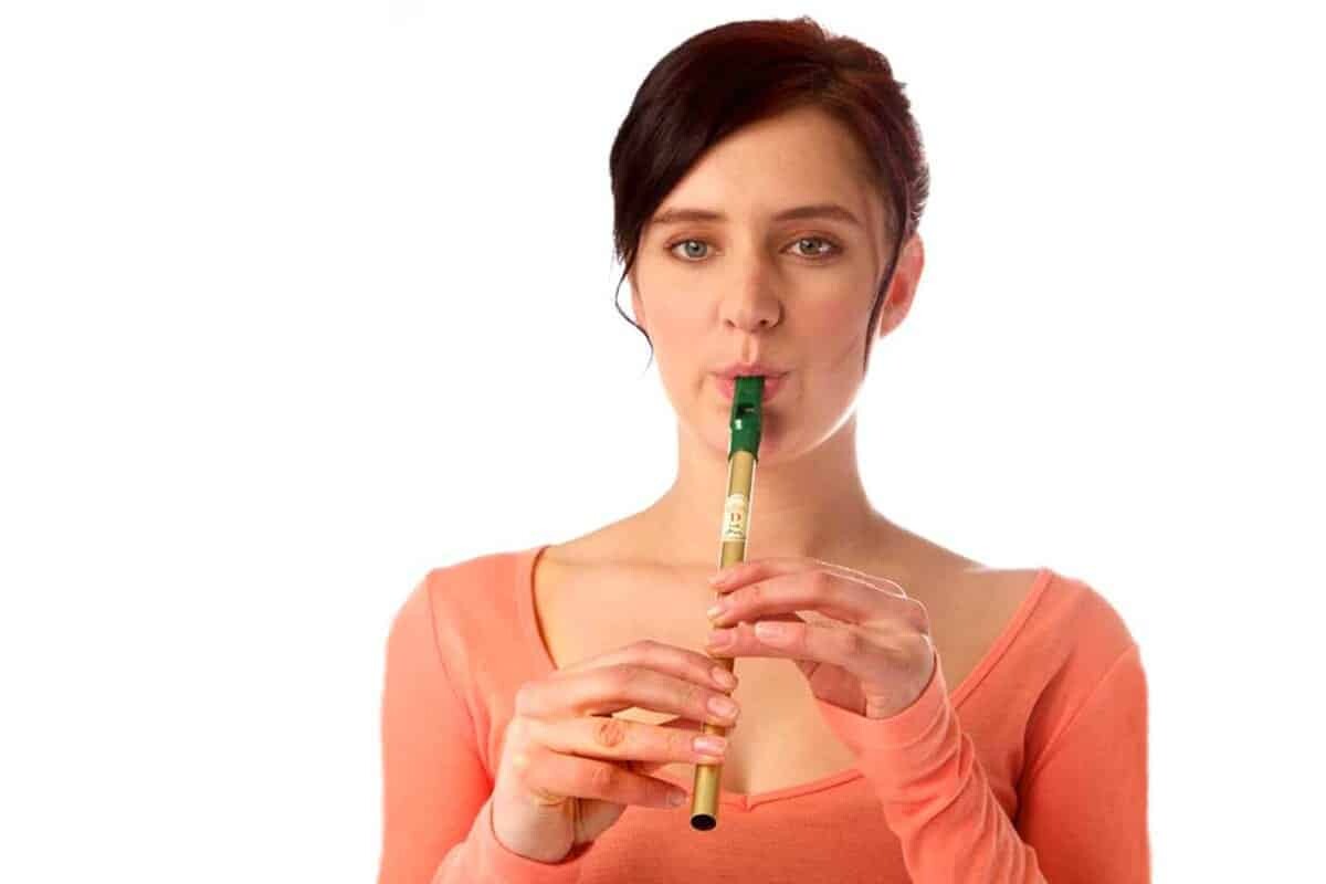 Beginners Tin Whistle Course • Waltons New School of Music